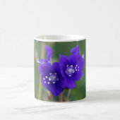 California Bluebell Kaffeetasse (Mittel)
