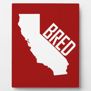 California Bred Fotoplatte