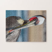 California Brown Pelican, Fine Art Foto, Puzzle (Horizontal)