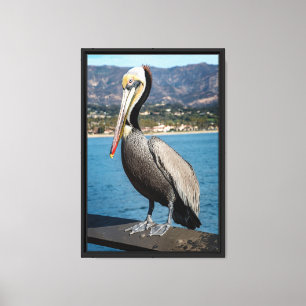 California Brown Pelican Portrait Leinwanddruck