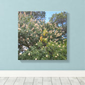 California Buckeye Leinwanddruck (Insitu (Holzboden))