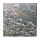 California Buckweizen Fliese (Vorderseite)