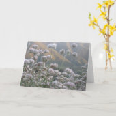 California Buckweizen Karte (Gelbe Blume)