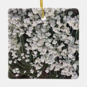 California Buckweizen Keramikornament