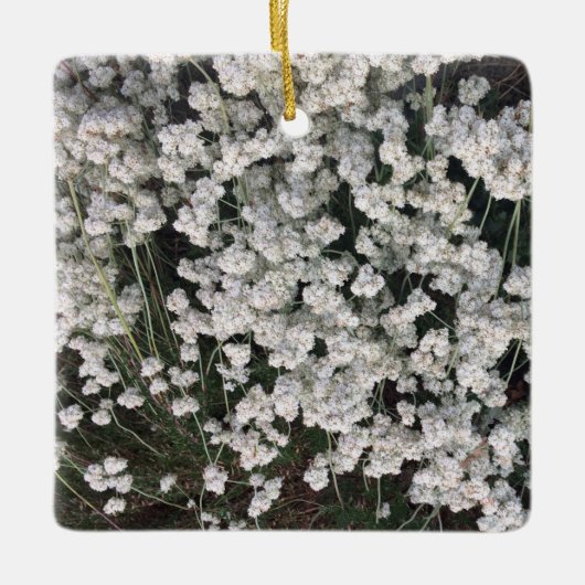 California Buckweizen Keramikornament (Vorderseite)