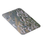 California Buckweizen Magnet (Rechte Seite)