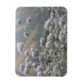 California Buckweizen Magnet (Vertikal)