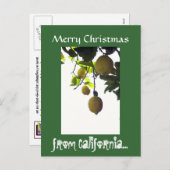 California Christmas Postcard Feiertagspostkarte (Vorne/Hinten)