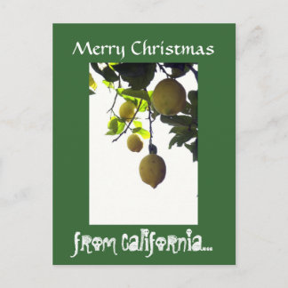 California Christmas Postcard Feiertagspostkarte