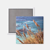 California Coastnet Magnet (Vorderseite/Rückseite)