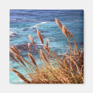 California Coastnet Magnet