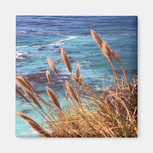 California Coastnet Magnet (Vorne)