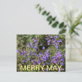 California Colors: Merry May Postkarte (Stehend Vorderseite)