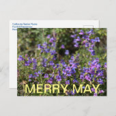California Colors: Merry May Postkarte (Vorne/Hinten)