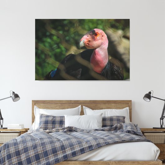 California Condor Leinwanddruck (Insitu (Schlafzimmer))