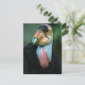 California Condor Postcard Postkarte (Stehend Vorderseite)