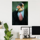 California Condor Poster (Heimbüro)