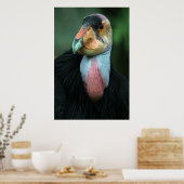 California Condor Poster (Küche)