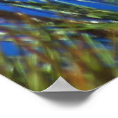 California Condor Poster (Ecke)