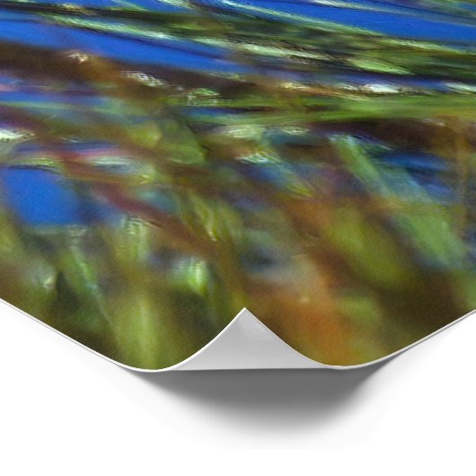 California Condor Poster (Ecke)