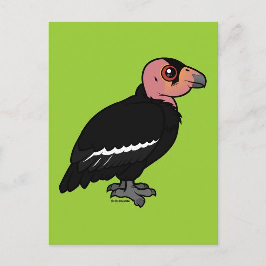 California Condor Postkarte (Vorderseite)