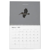 California Creatures Calendar (September-August) Kalender (Feb 2027)