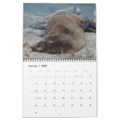 California Creatures Calendar (September-August) Kalender (Jan 2027)