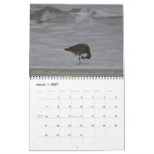 California Creatures Calendar (September-August) Kalender (Mär 2027)