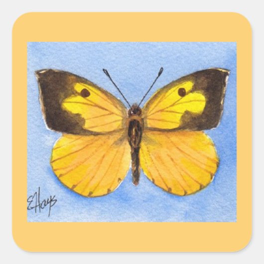 California Dogface Butterfly Sticker (Vorderseite)