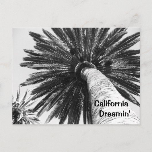 California Dreamin Postcard Postkarte (Vorderseite)