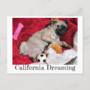 California Dreaming Peanut Der Mops Postkarte