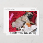 California Dreaming Peanut Der Mops Postkarte (Vorne/Hinten)
