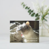 California Dreaming Postkarte (Stehend Vorderseite)