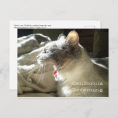 California Dreaming Postkarte (Vorne/Hinten)