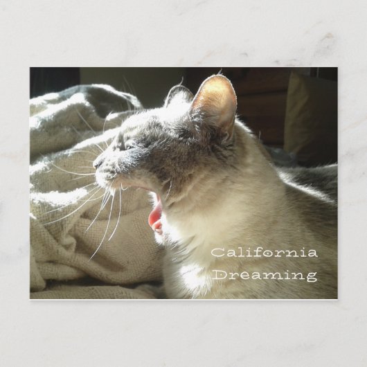 California Dreaming Postkarte (Vorderseite)