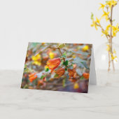 California Flannel Bush Karte (Gelbe Blume)