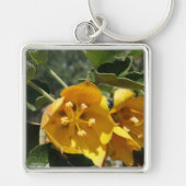 California Flannel Bush Schlüsselanhänger (Vorne)