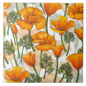 California Fliese (Vorderseite)