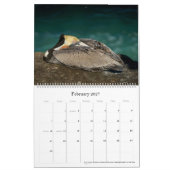 California Flora and Fauna - Kalender 2025 (Feb 2027)
