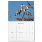 California Flora and Fauna - Kalender 2025 (Mär 2027)