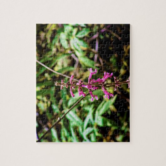 California Forest Blume | Beardzunge Puzzle (Vertikal)