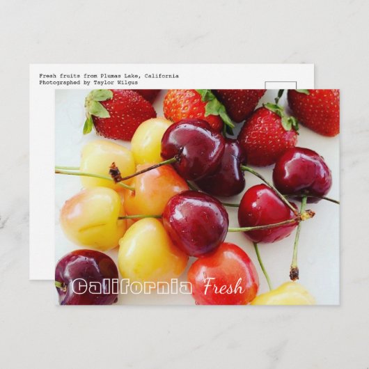 California Fresh Fruits Postkarte (Vorne/Hinten)