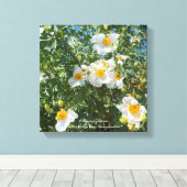 California Fried Eggs Leinwanddruck (Insitu (Holzboden))