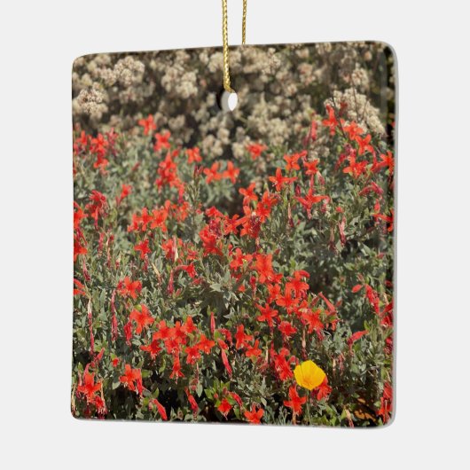 California Fuchsia Keramikornament (Links)