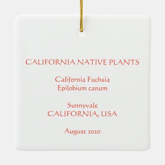 California Fuchsia Keramikornament (Rückseite)