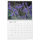 California Gardens - Kalender (Feb 2027)
