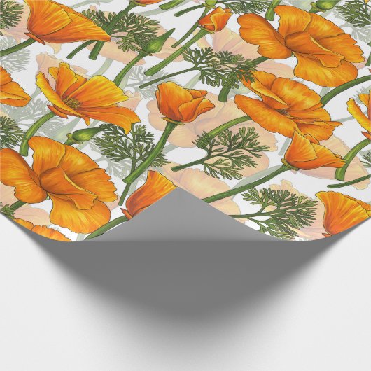 California Geschenkpapier (Ecke)