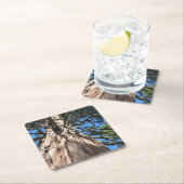 California Giant Rechteckiger Pappuntersetzer (Vor Ort)