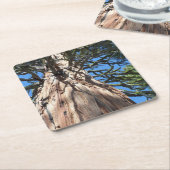 California Giant Rechteckiger Pappuntersetzer (angewinkelt)