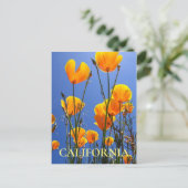 California Golden Poppies gegen Blue Sky Postkarte (Stehend Vorderseite)